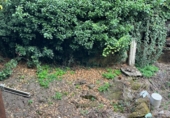 Casa de poble en venda a la Rúa San Mamede, Viana del Bollo, ref.: TR81956 foto