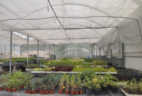 Olmeda de las Fuentes 11434&nbsp;m² 