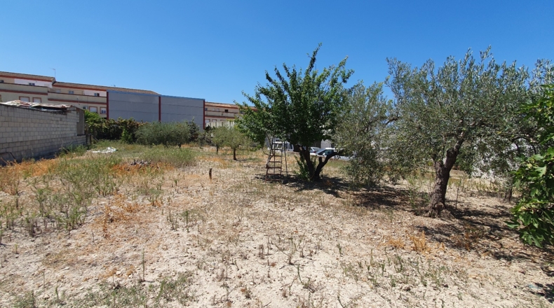 Sevilla - Salteras - 715m2