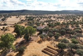 Cáceres 13000&nbsp;m²