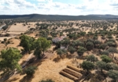 Finca rústica en venda a la Vereda de Malpartida o del Lavadero de Lanas, Càceres, ref.: TR82105 foto