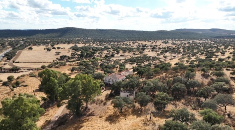Cáceres - Cáceres - 13000m2