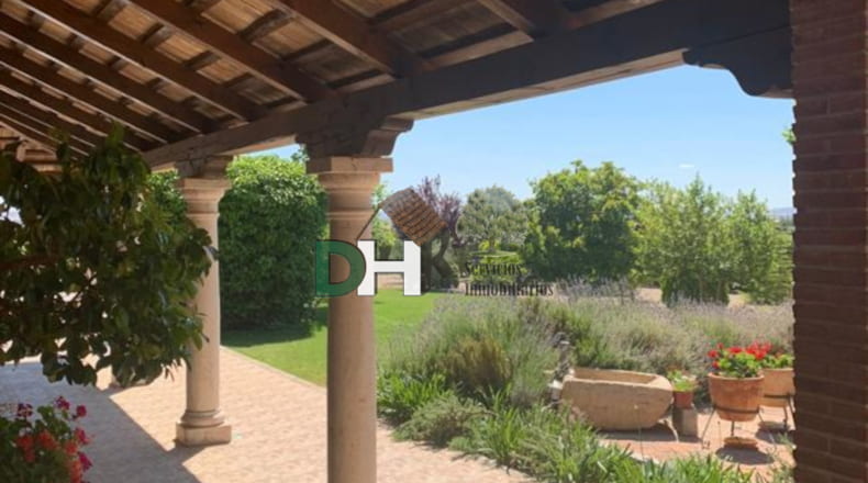 Ciudad Real - Miguelturra - 230000m2