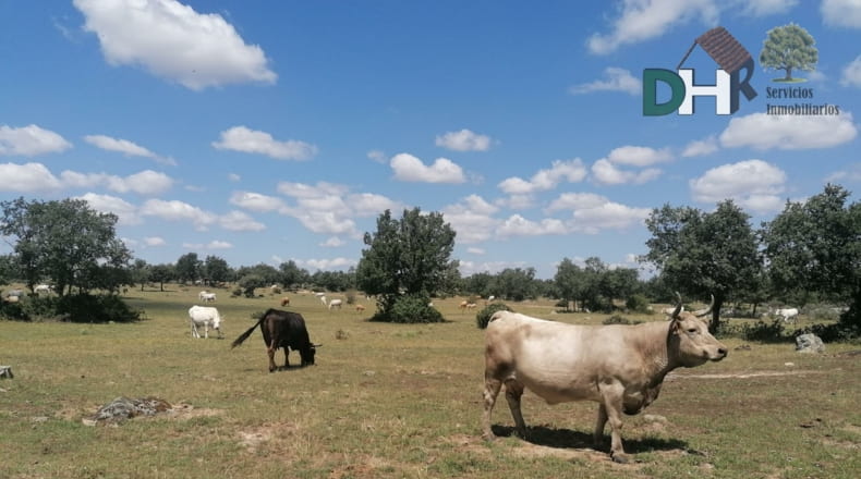 Salamanca - Salamanca - 7500000m2