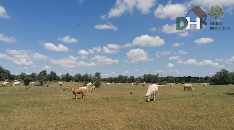 Salamanca - Salamanca - 7500000m2