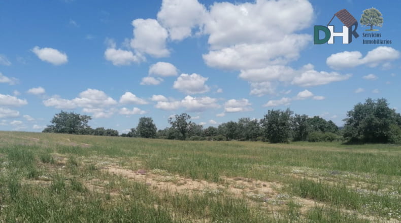 Salamanca - Salamanca - 7500000m2