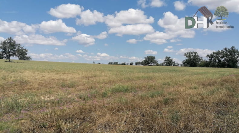 Salamanca - Salamanca - 7500000m2