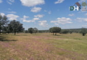 Terreny no urbanitzable en venda a la Galanas, Salamanca, ref.: TR87135 foto