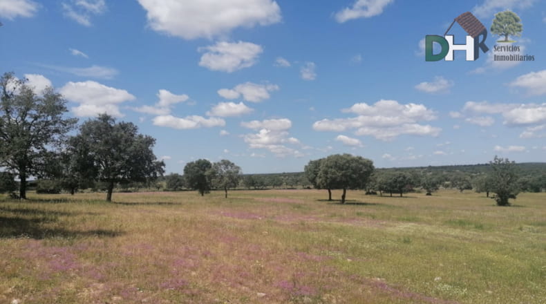Salamanca - Salamanca - 7500000m2