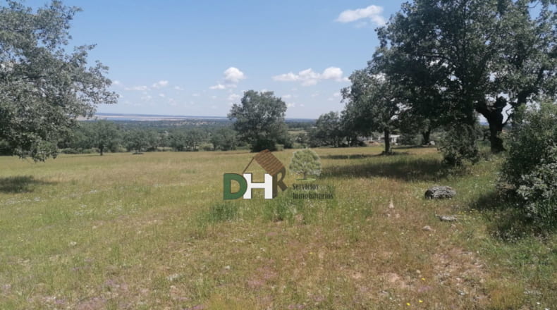 Salamanca - Salamanca - 7500000m2