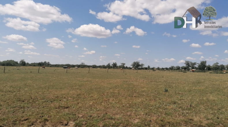 Salamanca - Salamanca - 7500000m2