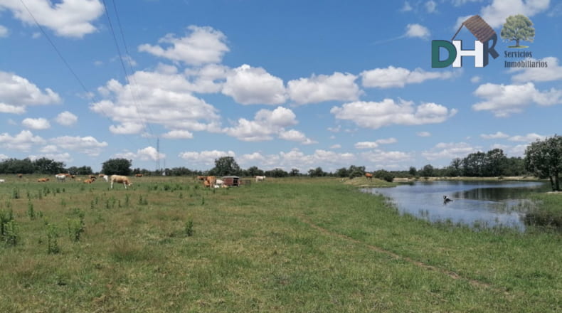 Salamanca - Salamanca - 7500000m2