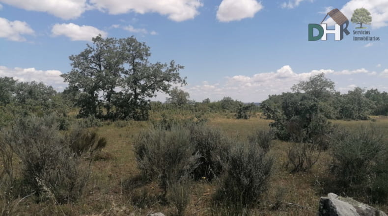 Salamanca - Salamanca - 7500000m2