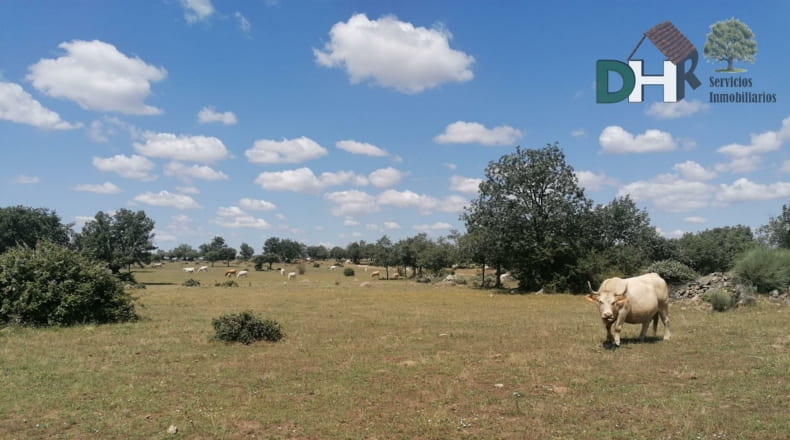 Salamanca - Salamanca - 7500000m2
