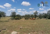 Terreny no urbanitzable en venda a la Galanas, Salamanca, ref.: TR87135 foto