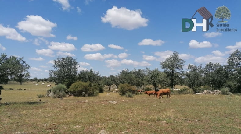 Salamanca - Salamanca - 7500000m2