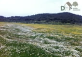 Non-developable land for sale on Torrequebrada, Badajoz, ref: TR87134 photo