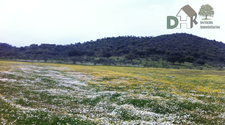 Badajoz - Badajoz - 2150000m2