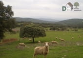 Non-developable land for sale on Torrequebrada, Badajoz, ref: TR87134 photo
