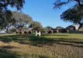 Terreno no urbanizable en venta en la Calle Gabriel y Galán, Cáceres, ref: TR87133 foto