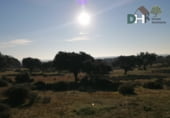 Terreno no urbanizable en venta en la Calle Gabriel y Galán, Cáceres, ref: TR87133 foto