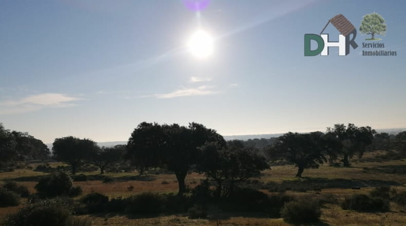 Cáceres - Cáceres - 7000000m2