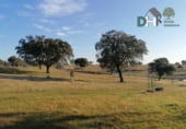 Terreno no urbanizable en venta en la Calle Gabriel y Galán, Cáceres, ref: TR87133 foto