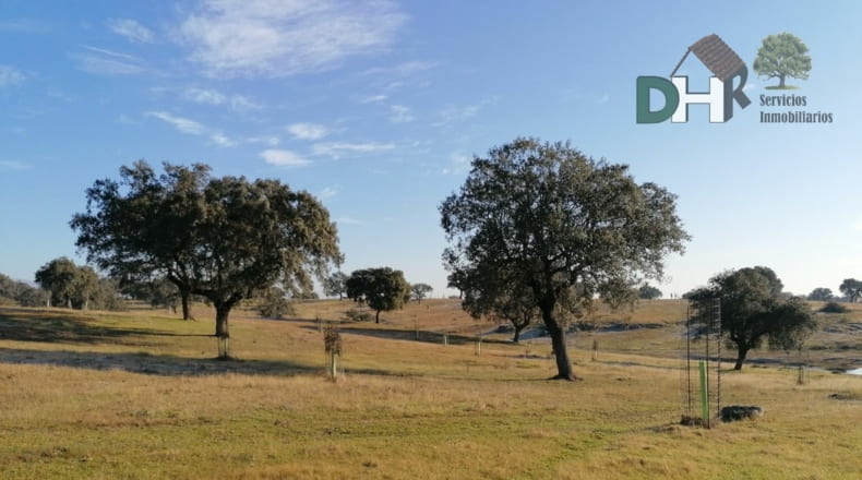 Cáceres - Cáceres - 7000000m2