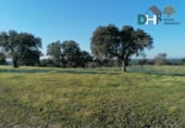 Terreno no urbanizable en venta en la Calle Gabriel y Galán, Cáceres, ref: TR87133 foto