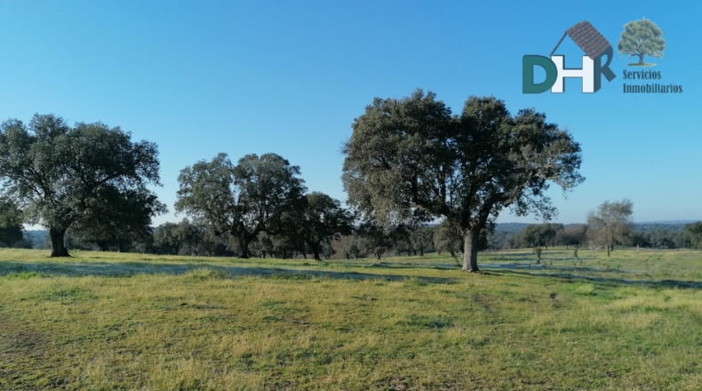 Cáceres - Cáceres - 7000000m2