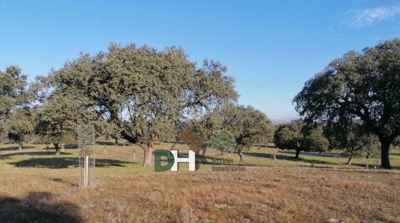 Cáceres - Cáceres - 7000000m2
