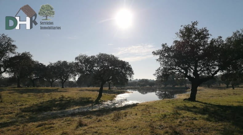 Cáceres - Cáceres - 7000000m2