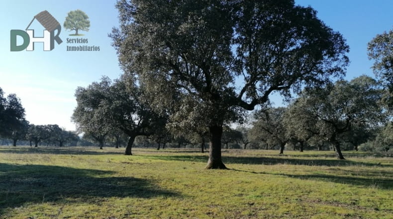 Cáceres - Cáceres - 7000000m2
