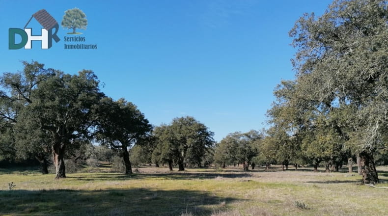 Cáceres - Cáceres - 7000000m2