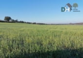 Terreno no urbanizable en venta en la Calle Gabriel y Galán, Cáceres, ref: TR87133 foto