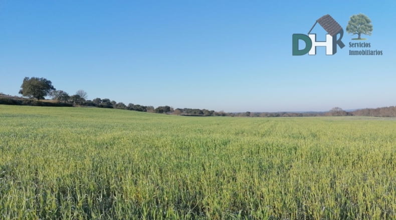 Cáceres - Cáceres - 7000000m2