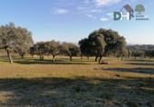 Terreno no urbanizable en venta en la Calle Gabriel y Galán, Cáceres, ref: TR87133 foto