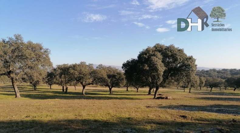 Cáceres - Cáceres - 7000000m2
