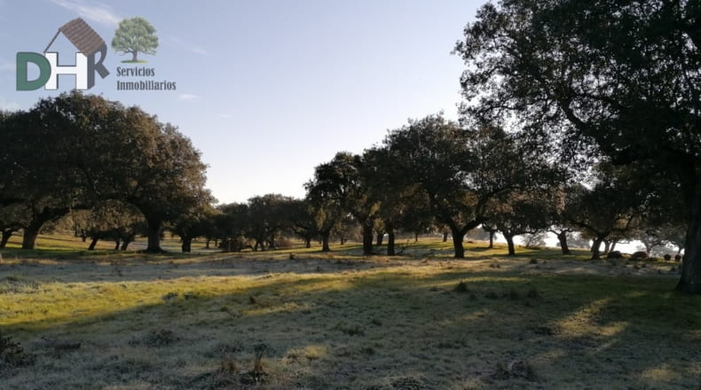 Cáceres - Cáceres - 7000000m2