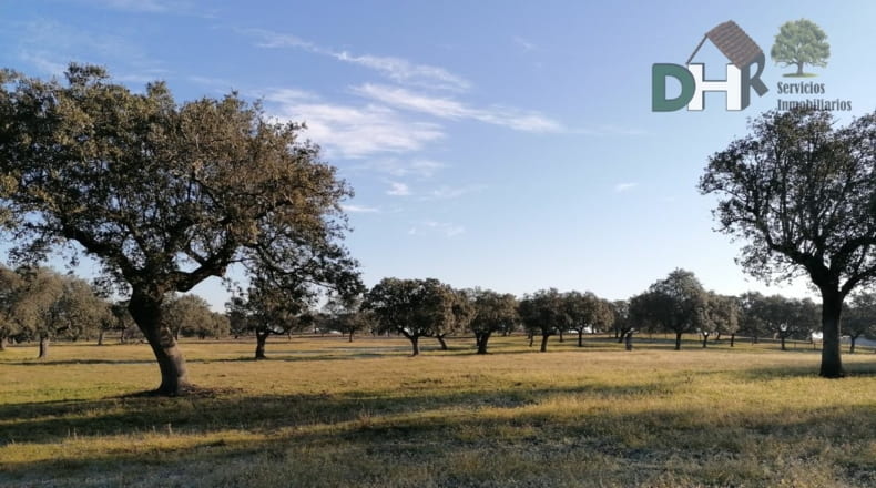 Cáceres - Cáceres - 7000000m2