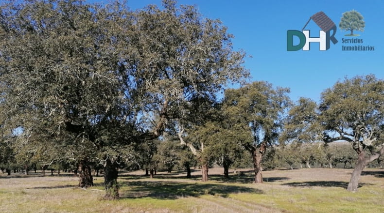 Cáceres - Cáceres - 7000000m2