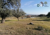 Terreno no urbanizable en venta en la Calle Gabriel y Galán, Cáceres, ref: TR87133 foto