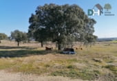Terreno no urbanizable en venta en la Calle Gabriel y Galán, Cáceres, ref: TR87133 foto