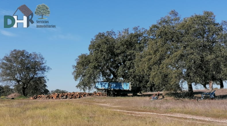 Cáceres - Cáceres - 7000000m2