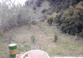 Finca rústica en venda a la Camino de Frigiliana, Frigiliana, ref.: TR86147 foto
