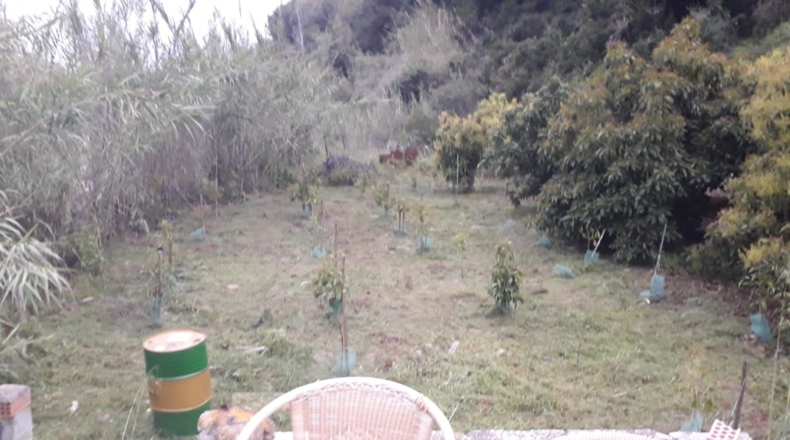 Málaga - Frigiliana - 8900m2