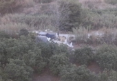 Finca rústica en venda a la Camino de Frigiliana, Frigiliana, ref.: TR86147 foto