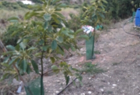 Foto 14