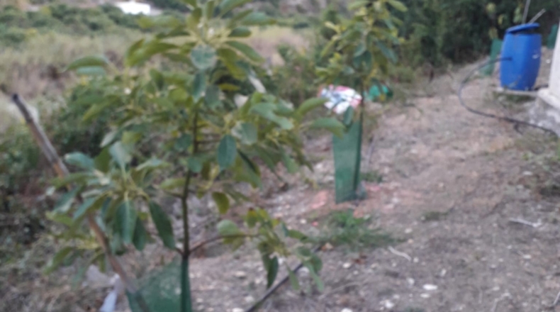 Málaga - Frigiliana - 8900m2