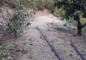 Finca rústica en venda a la Camino de Frigiliana, Frigiliana, ref.: TR86147 foto
